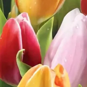  Поздравляем с праздником весны – 8 марта в Копейске